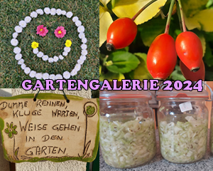 Gartengalerie 2024