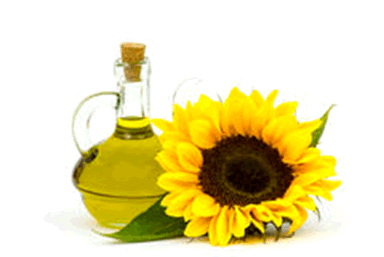 Sonnenblume