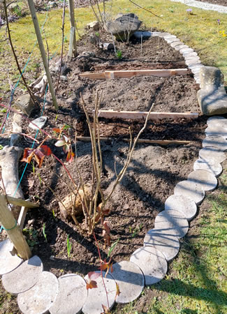 Anlage des Ewigen Beetes