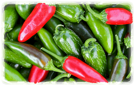 Jalapeno