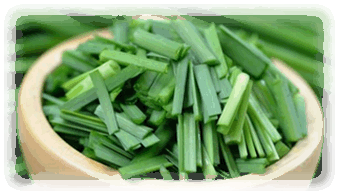Schnittknoblauch