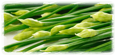 Schnittknoblauch