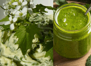 Knoblauchsrauke Pesto+Aufstrich