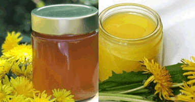 Löwenzahn Sirup und Creme