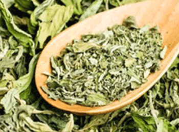 Stevia getrocknet